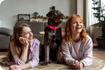 Pet Sitters In Great Britain